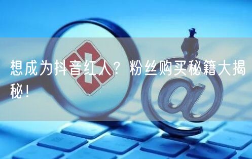 想成为抖音红人？粉丝购买秘籍大揭秘！