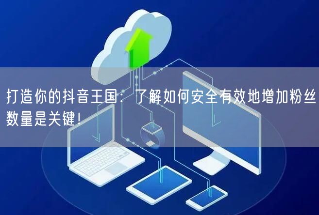 打造你的抖音王国：了解如何安全有效地增加粉丝数量是关键！
