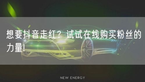 想要抖音走红？试试在线购买粉丝的力量!