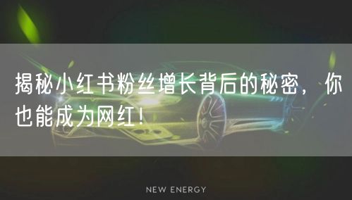 揭秘小红书粉丝增长背后的秘密，你也能成为网红！