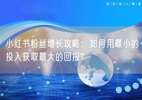 小红书粉丝增长攻略：如何用最小的投入获取最大的回报?