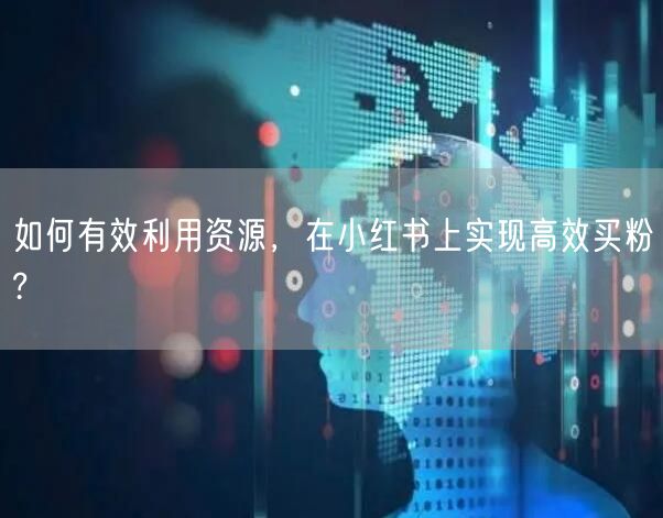 如何有效利用资源，在小红书上实现高效买粉?