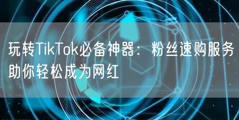 玩转TikTok必备神器：粉丝速购服务助你轻松成为网红