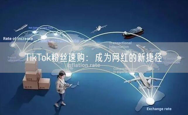TikTok粉丝速购：成为网红的新捷径