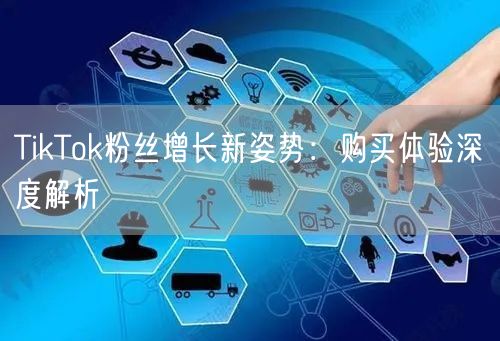 TikTok粉丝增长新姿势：购买体验深度解析