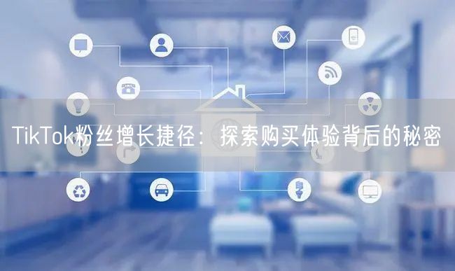 TikTok粉丝增长捷径：探索购买体验背后的秘密