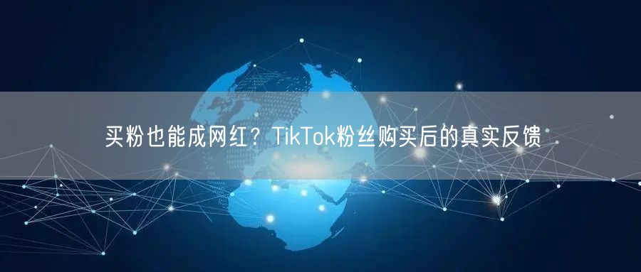 买粉也能成网红？TikTok粉丝购买后的真实反馈
