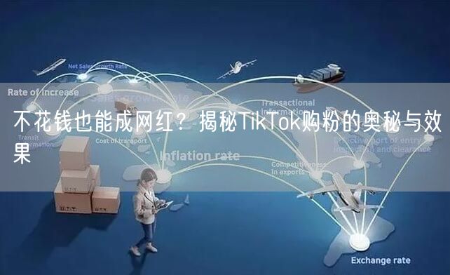 不花钱也能成网红？揭秘TikTok购粉的奥秘与效果