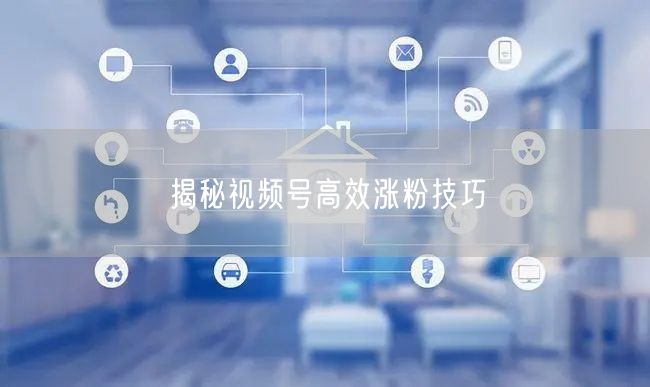 揭秘视频号高效涨粉技巧