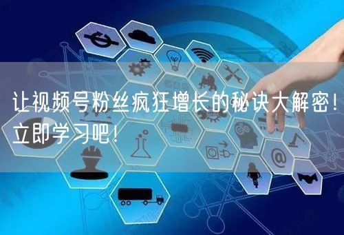 让视频号粉丝疯狂增长的秘诀大解密！立即学习吧！