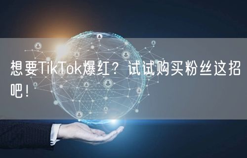 想要TikTok爆红？试试购买粉丝这招吧！