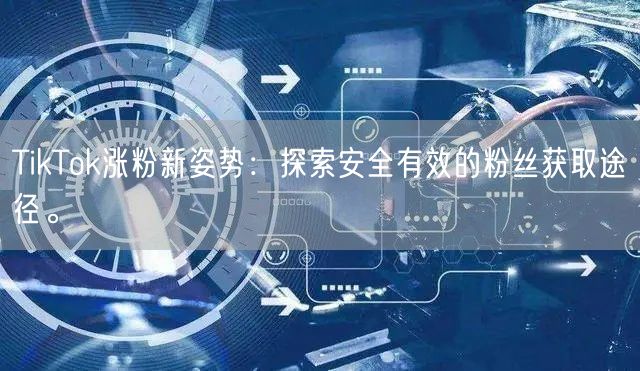 TikTok涨粉新姿势：探索安全有效的粉丝获取途径。