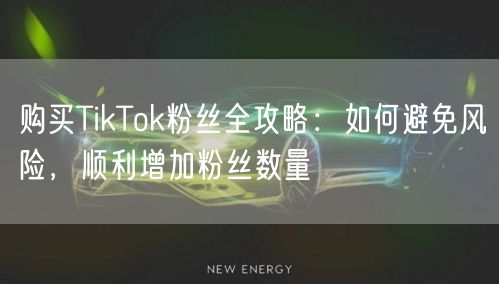购买TikTok粉丝全攻略：如何避免风险，顺利增加粉丝数量