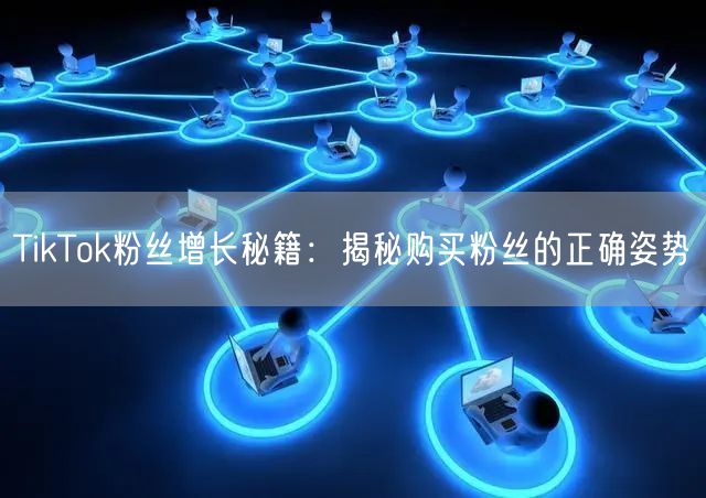 TikTok粉丝增长秘籍：揭秘购买粉丝的正确姿势