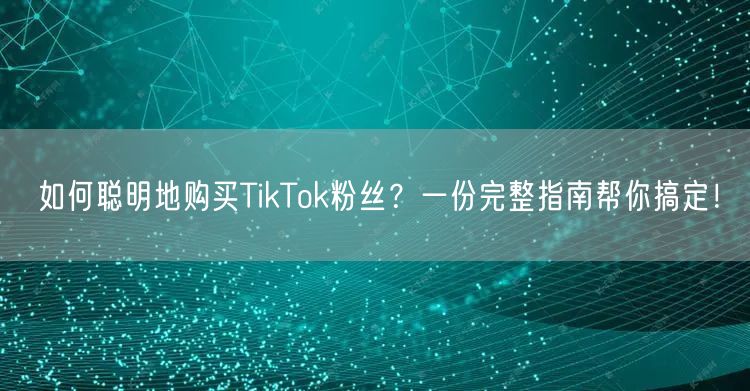 如何聪明地购买TikTok粉丝？一份完整指南帮你搞定！