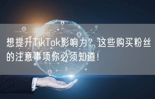 想提升TikTok影响力？这些购买粉丝的注意事项你必须知道！