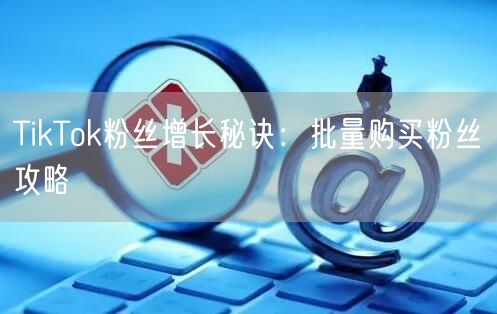 TikTok粉丝增长秘诀：批量购买粉丝攻略