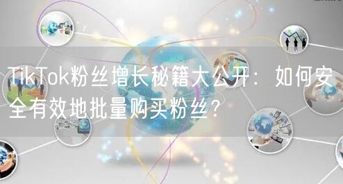 TikTok粉丝增长秘籍大公开：如何安全有效地批量购买粉丝？