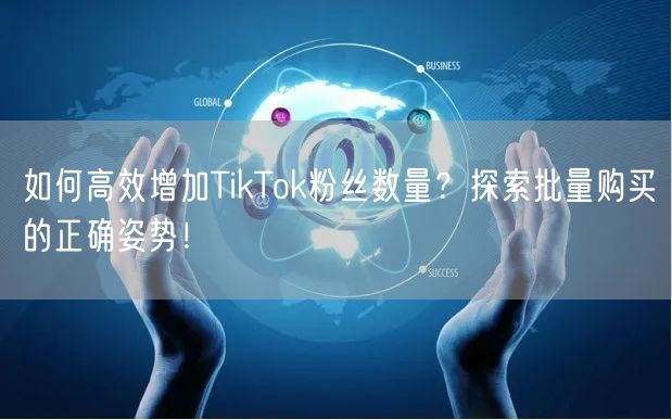 如何高效增加TikTok粉丝数量？探索批量购买的正确姿势！