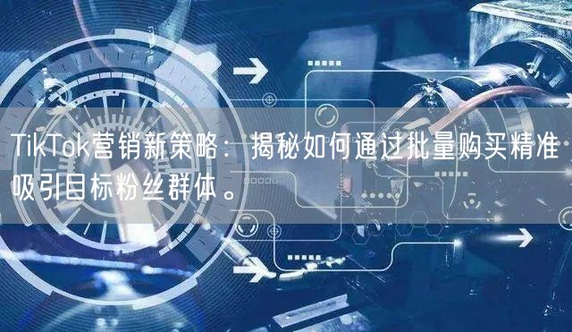 TikTok营销新策略：揭秘如何通过批量购买精准吸引目标粉丝群体。