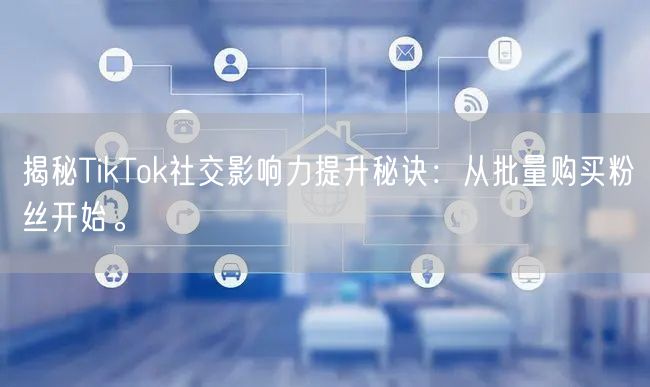 揭秘TikTok社交影响力提升秘诀：从批量购买粉丝开始。