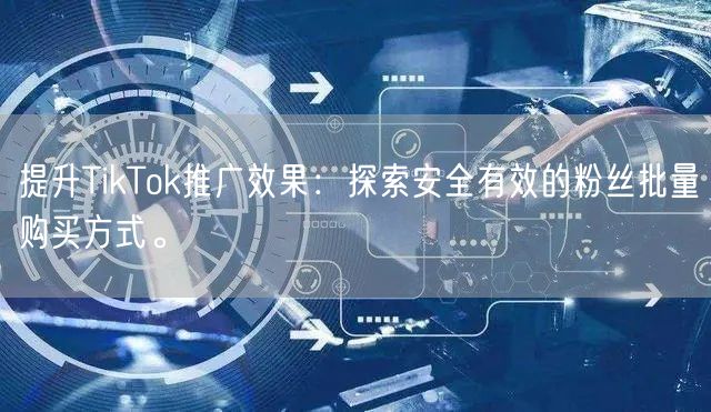 提升TikTok推广效果：探索安全有效的粉丝批量购买方式。