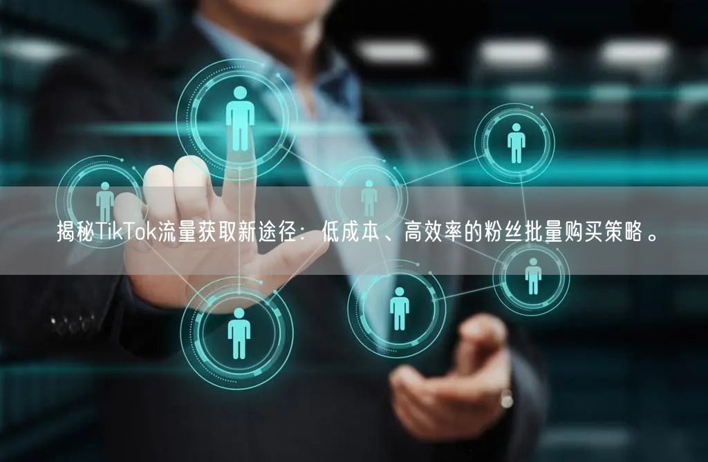 揭秘TikTok流量获取新途径：低成本、高效率的粉丝批量购买策略。