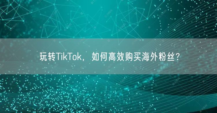 玩转TikTok，如何高效购买海外粉丝？