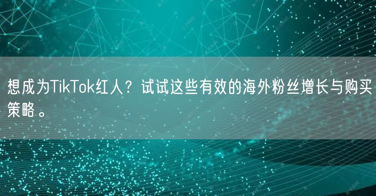 想成为TikTok红人？试试这些有效的海外粉丝增长与购买策略。