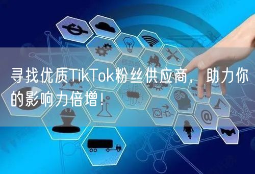 寻找优质TikTok粉丝供应商，助力你的影响力倍增！