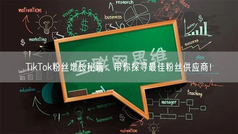 TikTok粉丝增长秘籍：带你探寻最佳粉丝供应商！