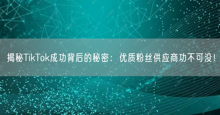 揭秘TikTok成功背后的秘密：优质粉丝供应商功不可没！