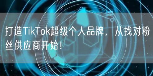 打造TikTok超级个人品牌，从找对粉丝供应商开始！