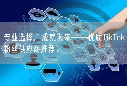 专业选择，成就未来——优质TikTok粉丝供应商推荐。
