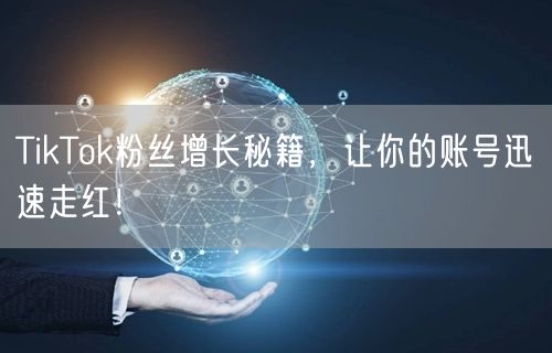 TikTok粉丝增长秘籍，让你的账号迅速走红！