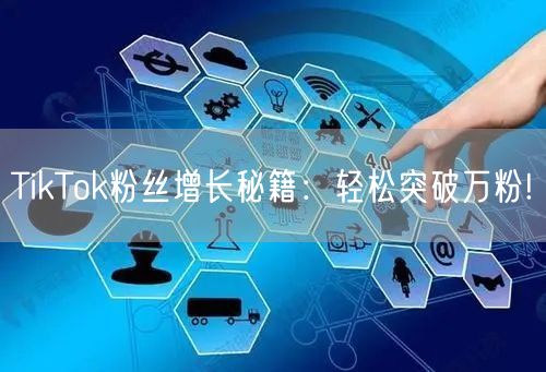 TikTok粉丝增长秘籍：轻松突破万粉!