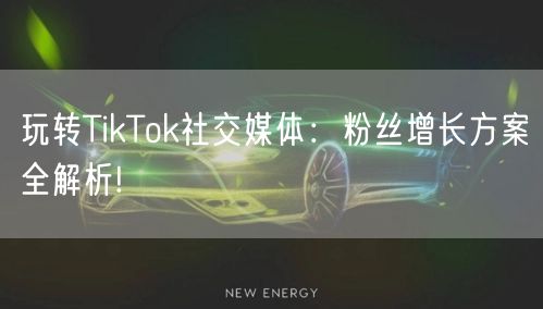 玩转TikTok社交媒体：粉丝增长方案全解析!