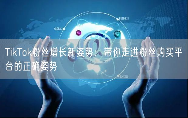 TikTok粉丝增长新姿势：带你走进粉丝购买平台的正确姿势