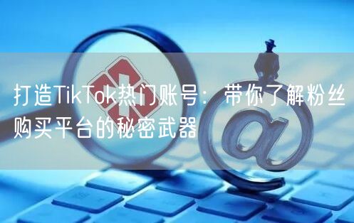 打造TikTok热门账号：带你了解粉丝购买平台的秘密武器