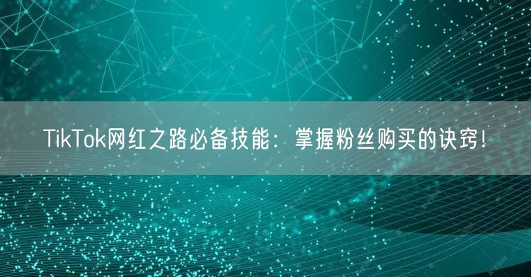 TikTok网红之路必备技能：掌握粉丝购买的诀窍！