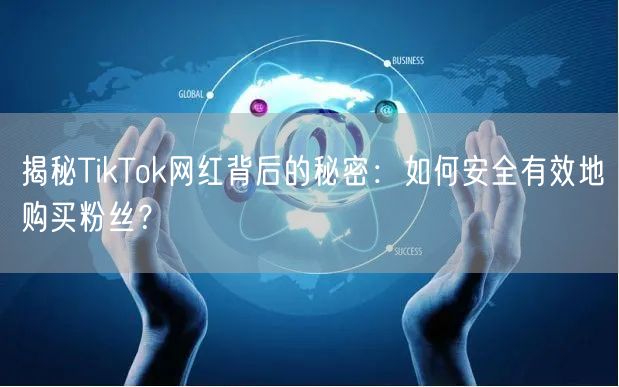 揭秘TikTok网红背后的秘密：如何安全有效地购买粉丝？