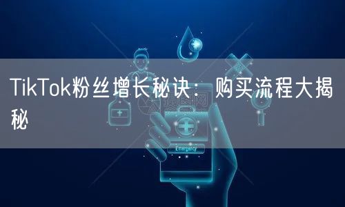 TikTok粉丝增长秘诀：购买流程大揭秘