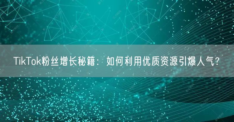 TikTok粉丝增长秘籍：如何利用优质资源引爆人气？