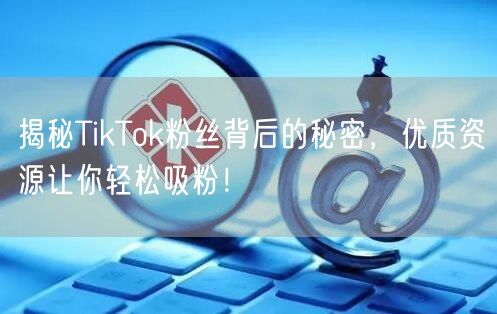 揭秘TikTok粉丝背后的秘密，优质资源让你轻松吸粉！