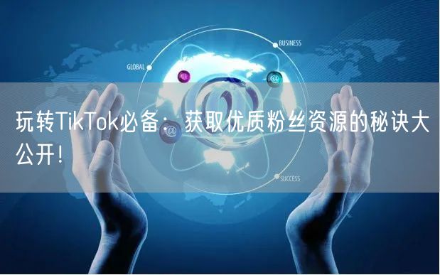 玩转TikTok必备：获取优质粉丝资源的秘诀大公开！