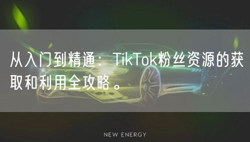 从入门到精通：TikTok粉丝资源的获取和利用全攻略。
