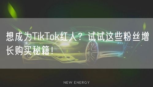 想成为TikTok红人？试试这些粉丝增长购买秘籍！