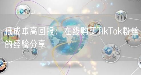 低成本高回报：在线购买TikTok粉丝的经验分享