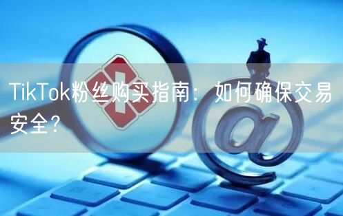 TikTok粉丝购买指南：如何确保交易安全？