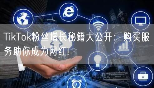 TikTok粉丝增长秘籍大公开：购买服务助你成为网红!